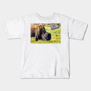 Bison at Yellowstone Kids T-Shirt